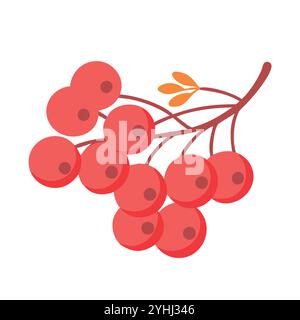 simple vector illustration of a mountain ash berries, in a simple and clean style, suitable for food and health themes. fruits flat illustration. Stock Vector