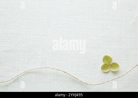 Linen and hydrangea Stock Photo