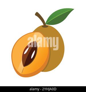 simple vector illustration of a sapodilla, in a simple and clean style, suitable for food and health themes. fruits flat illustration. Stock Vector