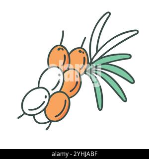 simple vector illustration of a sea buckthorn, in a simple and clean style, suitable for food and health themes. fruits flat illustration. Stock Vector
