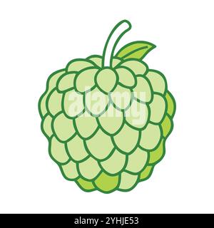 simple vector illustration of a sugar apple, in a simple and clean style, suitable for food and health themes. fruits flat illustration. Stock Vector