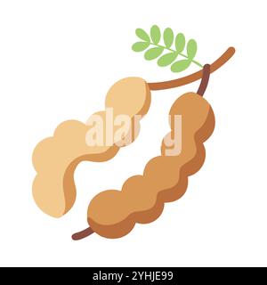 simple vector illustration of a tamarind, in a simple and clean style, suitable for food and health themes. fruits flat illustration. Stock Vector