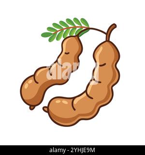 simple vector illustration of a tamarind, in a simple and clean style, suitable for food and health themes. fruits flat illustration. Stock Vector
