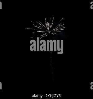A Firework erupting against a black winters sky, resembling a flower Stock Photo