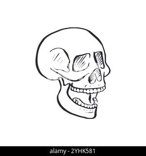 Hand drawn black and white sketchy floral human skull isolated on white ...