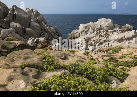 Bizarre and huge granite rocks by the sea, Capo Testa, near Santa Teresa di Gallura, Sardinia, Italy, Europe Stock Photo