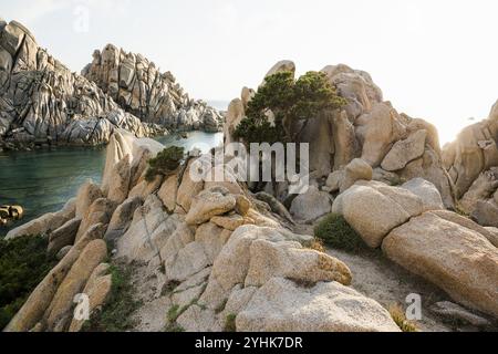 Bizarre and huge granite rocks by the sea, Spiaggia Valle della Luna, Capo Testa, near Santa Teresa di Gallura, Sardinia, Italy, Europe Stock Photo