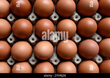 Rows of fresh brown farm raised chicken eggs in a farmers market in Medellin, Colombia. Stock Photo