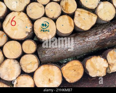 Logs harvested from sustainable forestry, in the Dolomites near the mountain range Rosengarten (catinaccio). The PEFC (Programme for the Endorsement o Stock Photo