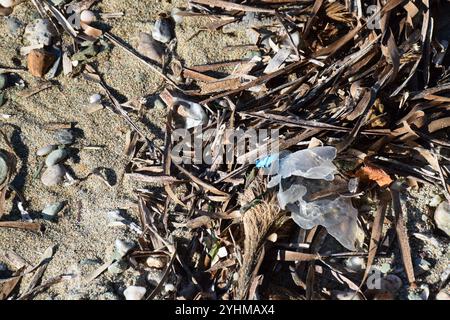 plastic waste and pollution on beaches—join the movement for cleaner, sustainable coastlines and save marine life. Stock Photo