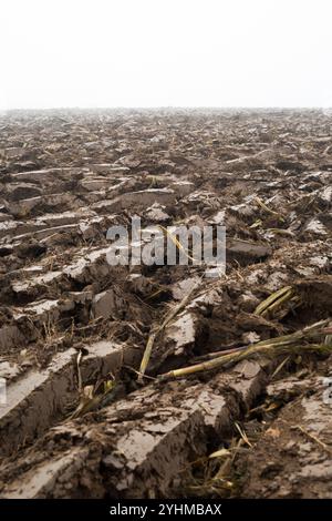 Maize ploughing after harvest to bury stubble. France Stock Photo