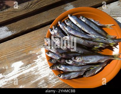 Dried fish on a plate. Very tasty, oily fish for beer. Stock Photo