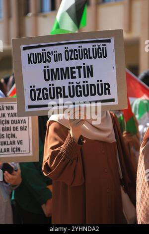 University students hold a Turkish flag with the image of Turkey's ...