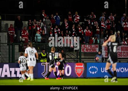 Biella, Italia. 12th Nov, 2024. Arsenal Women fans during the UEFA Women's Champions League soccer match between Juventus Women and Arsenal Women Football Club at the Stadium Comunale Vittorio Pozzo La Marmora in Biella, north west Italy -Group C - 3/6 - November 12, 2024. Sport - Soccer. (Photo by Fabio Ferrari/LaPresse) Credit: LaPresse/Alamy Live News Stock Photo