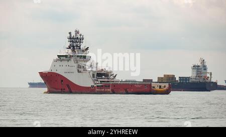 Ship Sien Amethyst anchored in Singapore Straight alongside MSC Riccarda 2. Stock Photo