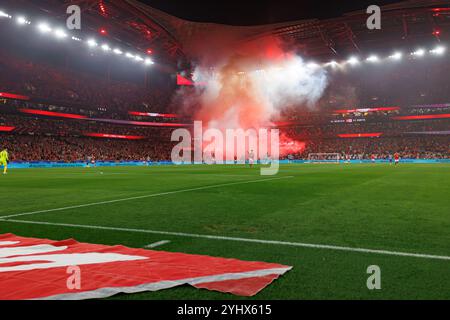 Lisbon, Portugal. 10th Nov, 2024. Fans of Benfica seen cheering during Liga Portugal game between teams of SL Benfica and FC Porto at Estadio Da Luz. Final score : SL Benfica 4 : 1 FC Porto (Photo by Maciej Rogowski/SOPA Images/Sipa USA) Credit: Sipa USA/Alamy Live News Stock Photo