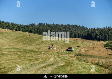 Rolling Low Tatras (Slovakia) countryside landscape with baling machines working on a sunlit field near a dense forest on a clear day Stock Photo