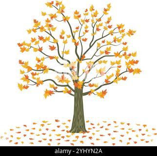 autumn tree, maple tree with yellow and orange leaf color. vector illustration isolated on white background. Stock Vector