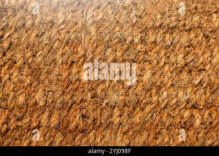 Closeup view of brown doormat. Seamless pattern of brown carpet. Mockup. Copy space. Texture background Stock Photo