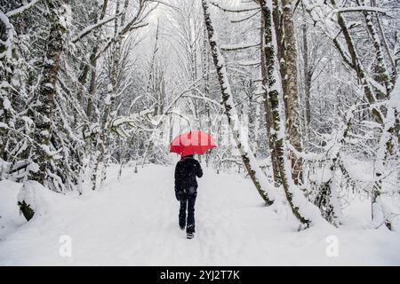 Young woman walking on a snowy forest path holding a red umbrella Stock Photo