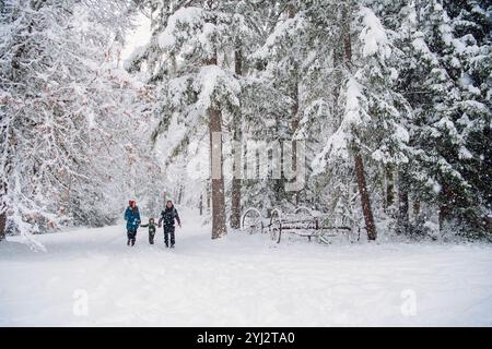 Young family walks through a snowy forest with snow-covered pine trees and a sleigh nearby. Stock Photo