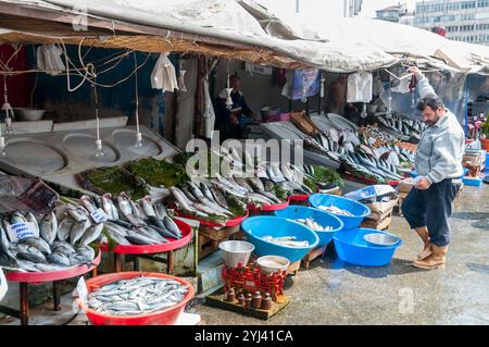 Fishmonger in front of his shop in the market fishing district of Eminonu, Istanbul, Turkey Stock Photo