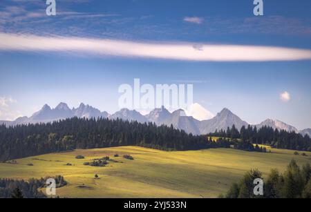 Majestic peaks rise above lush green fields under a beautiful blue sky in Poland's Carpathian Mountains Stock Photo