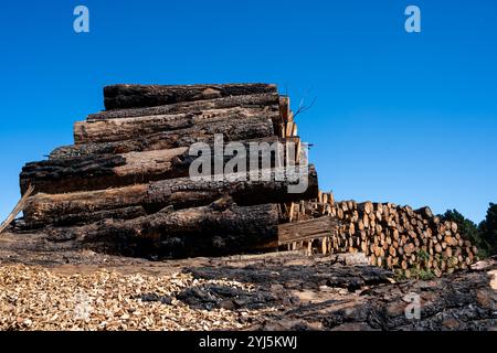 A pile of logs with some of them burnt. The logs are stacked on top of each other and the pile is quite large. The sky is clear and blue, and there ar Stock Photo