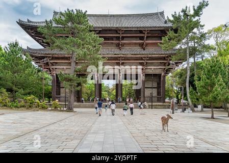 Nara, Japan - 05.06.2024: Many tourists strolling on the alleys outside the Todai-ji temple Namdaimon (Grand South Gate) in Nara. Stock Photo