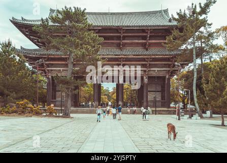 Nara, Japan - 05.06.2024: Many tourists strolling on the alleys outside the Todai-ji temple Namdaimon (Grand South Gate) in Nara. Stock Photo