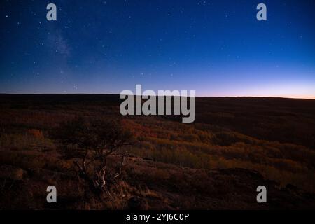 A hint of the Milky Way in twilight sky above aspen grove on Oregon's Steen Mountain. Stock Photo