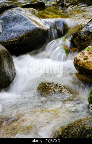 Mountain stream of clean water falls in small waterfall between river rocks Stock Photo