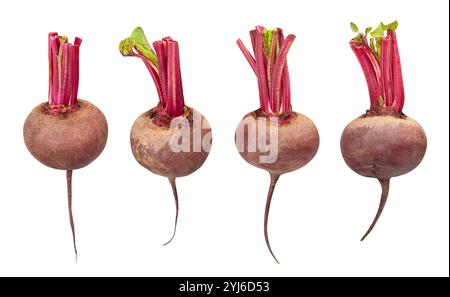 beetroot path isolated on white Stock Photo
