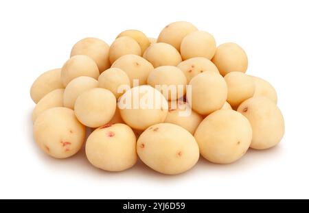 young potato path isolated on white Stock Photo