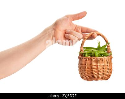 green peas basket in hand path isolated on white Stock Photo