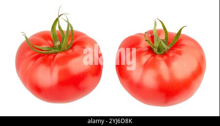 tomato path isolated on white Stock Photo