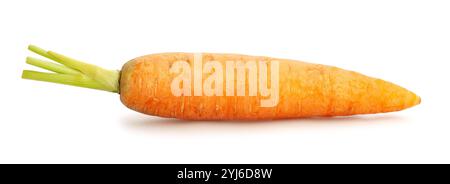 carrot path isolated on white Stock Photo