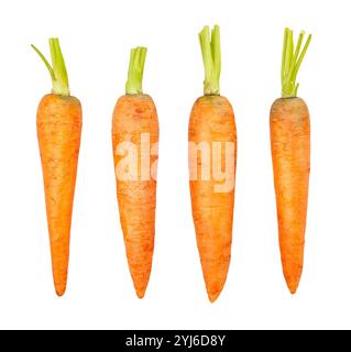 carrots path isolated on white Stock Photo