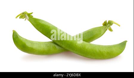 green peas path isolated on white Stock Photo