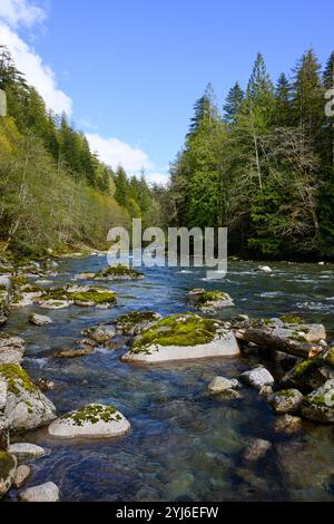 Pacific Nothwest wild mountain river flowing on sunny day through forest Stock Photo