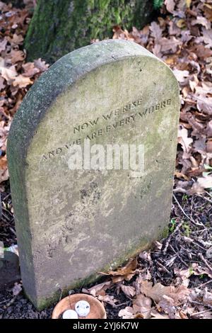 Grave stone of Singer Songwriter Nick Drake, Churchyard of St Mary ...