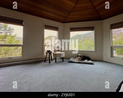 One black dog lying down in bedroom with view of the mountains out the windows on a sunny fall day Stock Photo