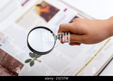 Hand holding magnifying glass examining book and plant inside, symbolizing research, knowledge, nature exploration, and learning through books Stock Photo