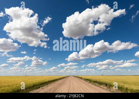 Bright blue sky with cumulus clouds over a dirt road through a farm field near Garden City, Kansas Stock Photo