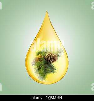 Conifer essential oil drop with fir tree branch inside on pale green background Stock Photo