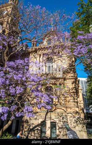 Sydney town hall in George street. Sydney, NSW, Australia Stock Photo