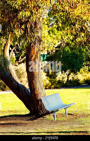 Metal bench seat under tree, York, Western Australia Stock Photo