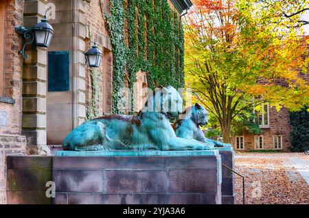 Two Bronze Tigers of Nassau Hall, Princeton University, New Jersey Stock Photo
