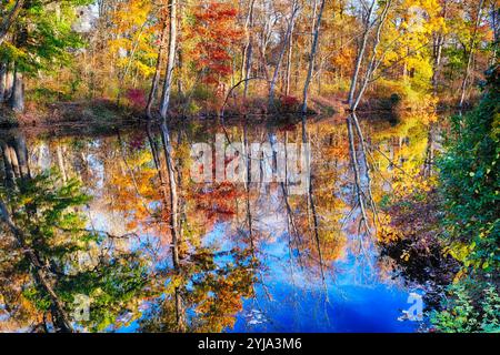 Fall Foliage Reflection in The Delaware and Raritan Canal, Millstone, New Jersey, USA Stock Photo