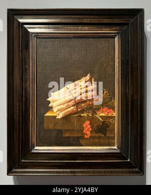 Still Life food painting, Asparagus and Red Currants by Adriaen Coorte. At the National Gallery of Art museum in Washington DC. Stock Photo